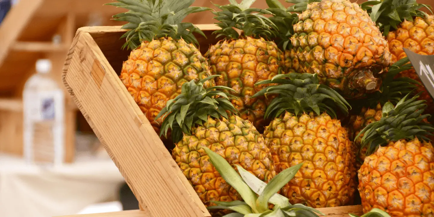 Ananas - Egzotično voće puno zdravstvenih prednosti