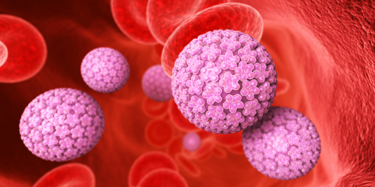 HPV - sve što trebate znati o ovom virusu