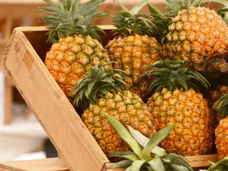 Ananas - Egzotično voće puno zdravstvenih prednosti
