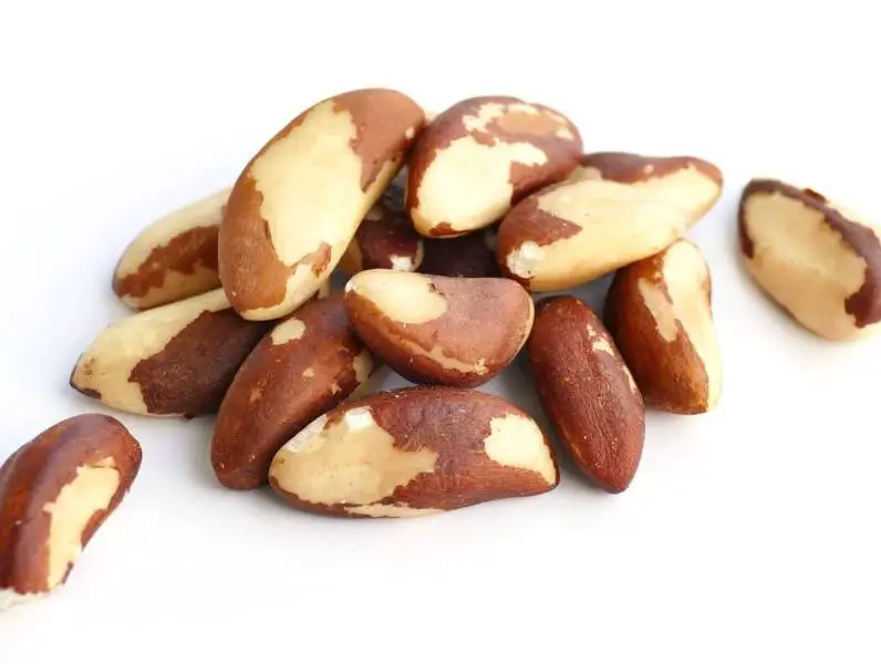 7 razloga zašto morate uključiti brazilske orahe u svoju prehranu