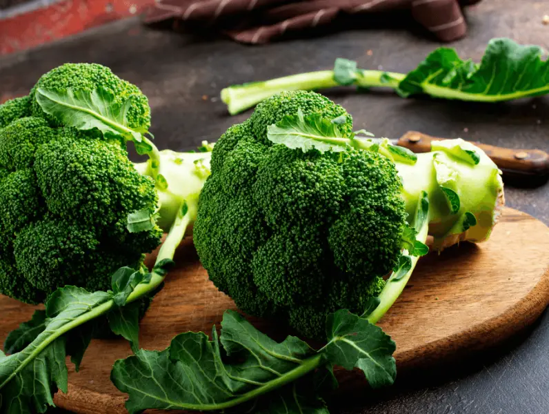 Brokula - Zdravi zeleni čuvar vašeg organizma