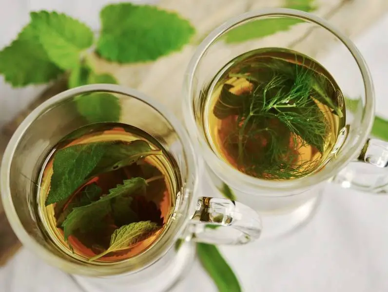 9 prednosti čaja od mente za vaše zdravlje