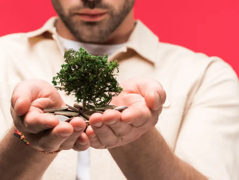 Drvo novca: Egzotična biljka koja donosi sreću i bogatstvo
