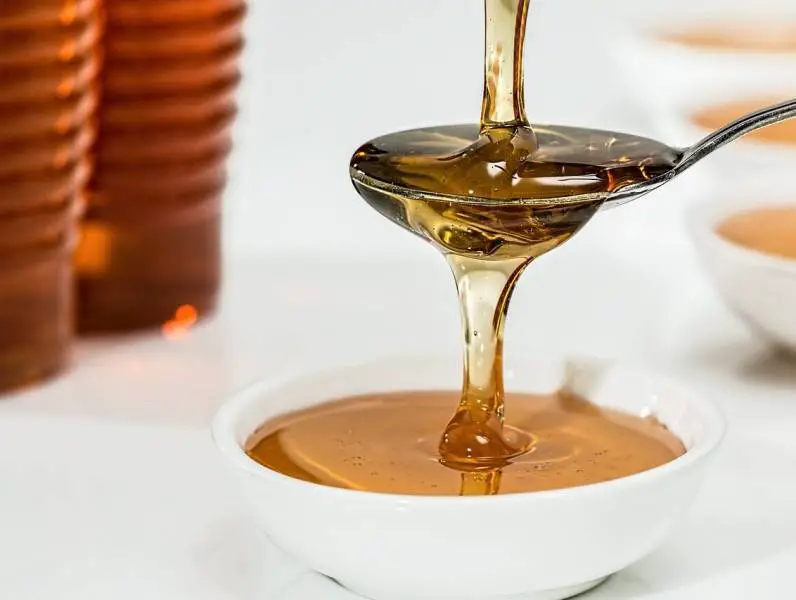 Zdravstvene dobrobiti meda: Prirodni eliksir za vaše zdravlje