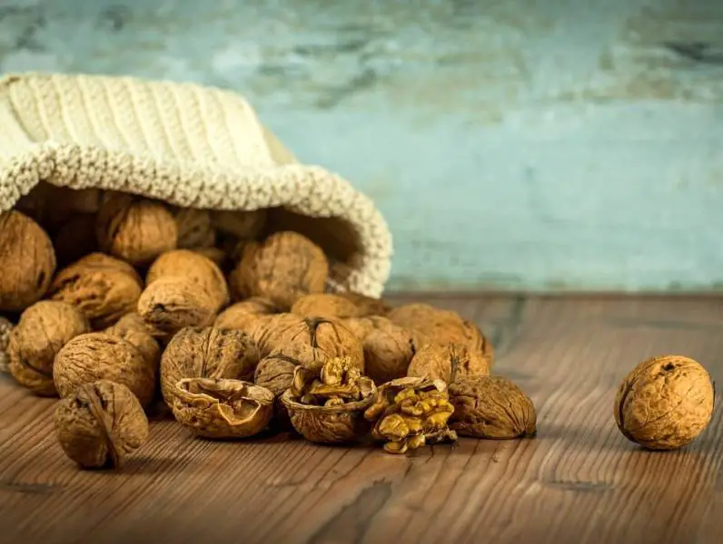 Najzdraviji orašasti plodovi i njihove zdravstvene prednosti