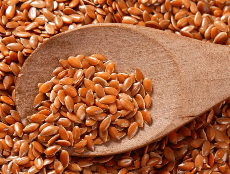 Zašto biste trebali sjemenke lana uvrstiti u svoju prehranu