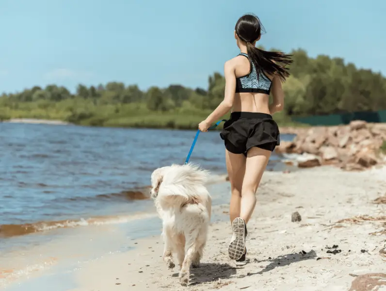 Vježbanje sa svojim psom - zabavne ideje za fitness